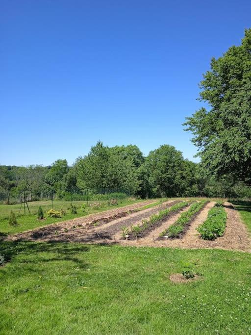 Les Jardins Des 3 Provinces- Gite Montcharvot 外观 照片