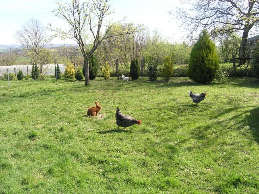 Les Jardins Des 3 Provinces- Gite Montcharvot 外观 照片