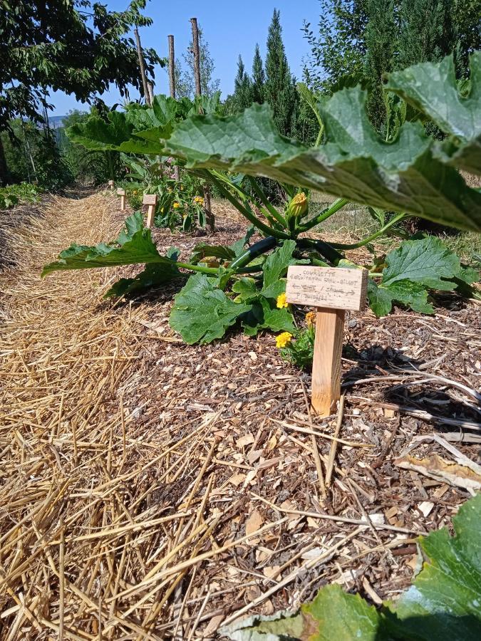 Les Jardins Des 3 Provinces- Gite Montcharvot 外观 照片